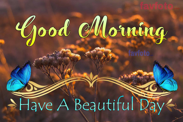 good morning nature quotes