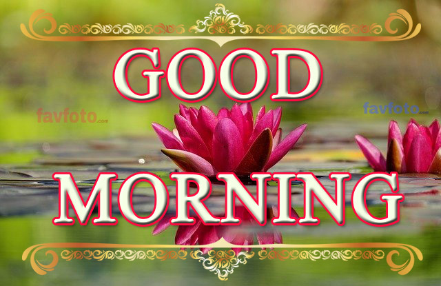 good morning nature hd images