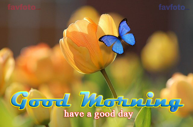 good morning picture download