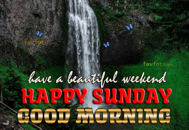 sunday good morning wishes