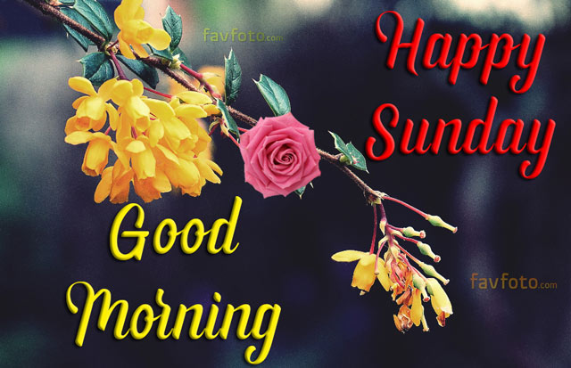 good morning sunday wishes
