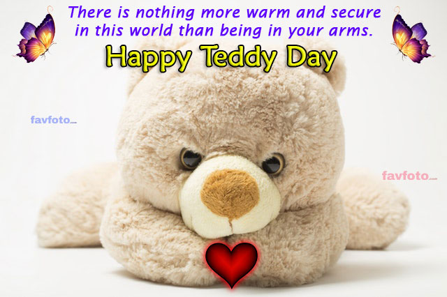 happy teddy day images