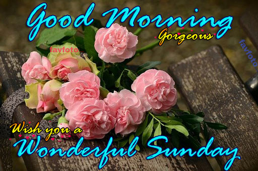 good morning wishes for sunday