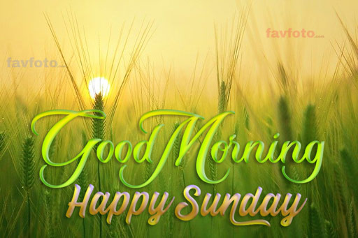 good morning sunday images hd