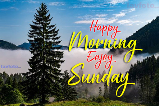 happy sunday hd pictures