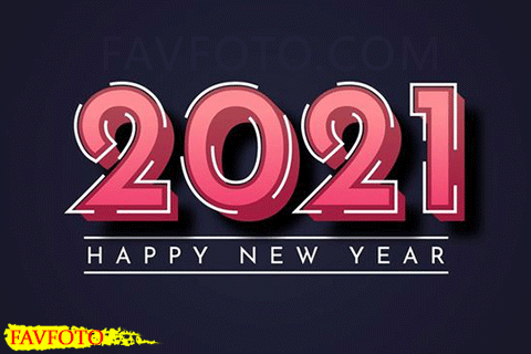 2021 Happy New Year Wises