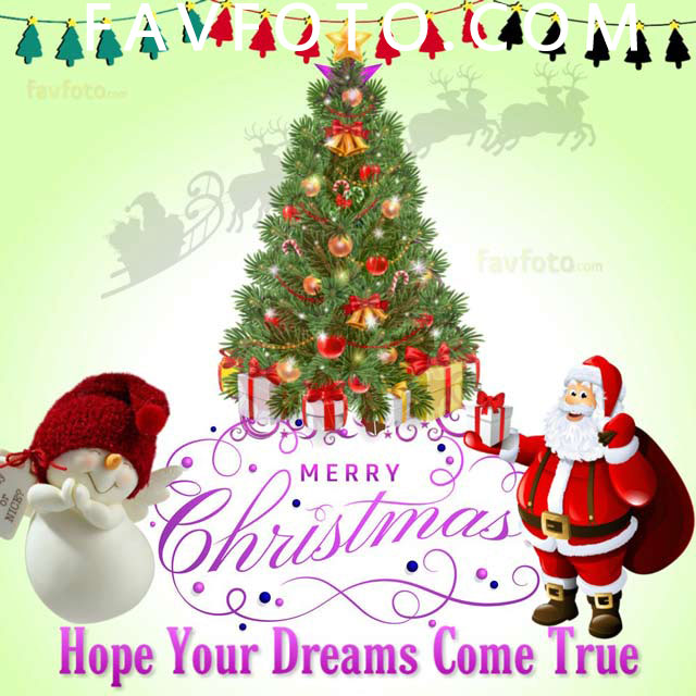 merry christmas greetings whatsapp status