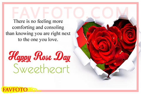 Happy Rose Day Quotes for Wife