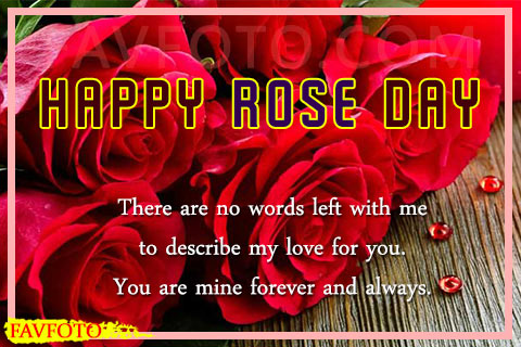 Happy Rose Day Quotes for Boyfriend