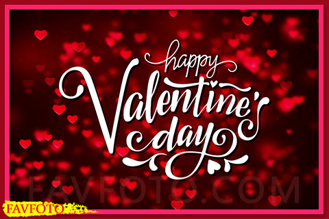 Happy Valentines Day Quotes & Messages - 14th February 2024 - Special Love Wishes