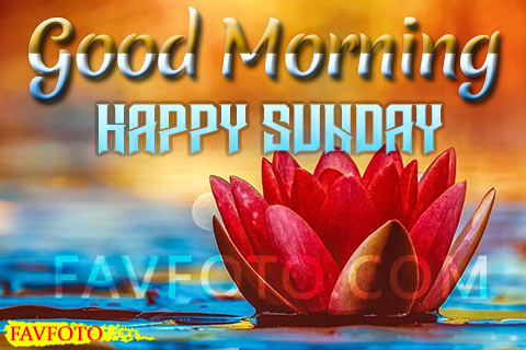 84+ Happy Sunday Good Morning Images for Whatsapp & Facebook 2022